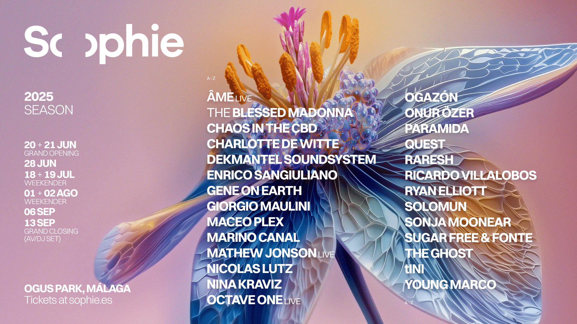 Sophie_Lineup-Temporada_2025.png